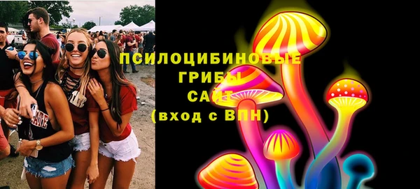 сатива Армянск