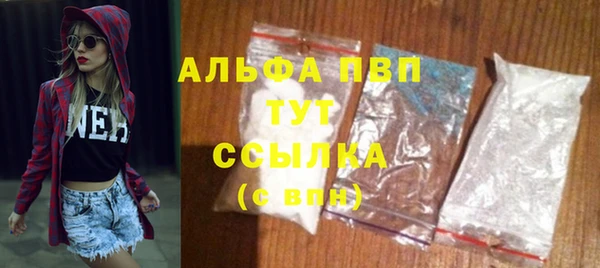 сатива Армянск
