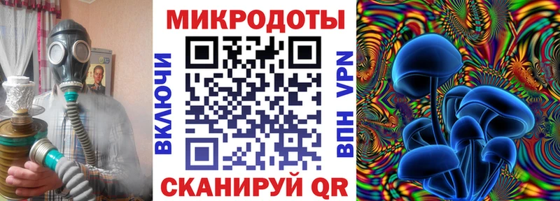 Галлюциногенные грибы Psilocybine cubensis  KRAKEN зеркало  Каспийск 