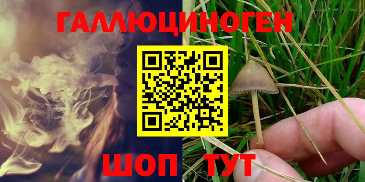 продажа наркотиков  Галлюциногенные грибы Psilocybine cubensis  Вход с VPN  Каспийск 